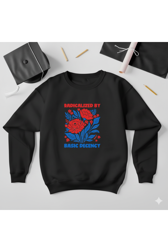 Radicalized By Basic Decency Equality Kindness Statement Art Sweatshirt, up to size 5XL