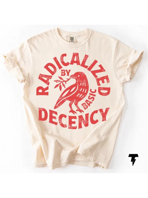 Radicalized By Basic Decency Soft Shirt Idea T-Shirt