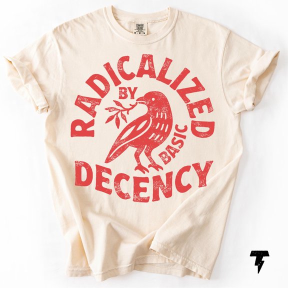 Radicalized By Basic Decency T-shirt, Activist Tee, Vintage Birthday Gift