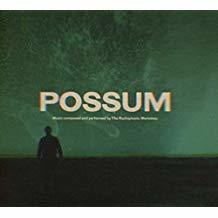Radiophonic Workshop - Possum - Soundtracks - CD