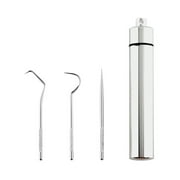 Radirus Toothpick Set, 304 Stainless Steel, Portable Storage Tube, Dental Cleaning Tools, Three Piece
