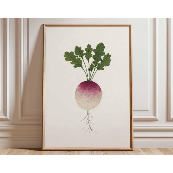 Radish Minimalist Vegetable Illustration Wall Art Print, Unframed Paper Poster 11x14in