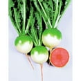 thumbnail image 1 of Radish Seeds - Chinese - Red Meat - 1 Oz ~3625 Seeds - Non-GMO, Heirloom - Asian Garden Vegetable & Microgreens, 1 of 1
