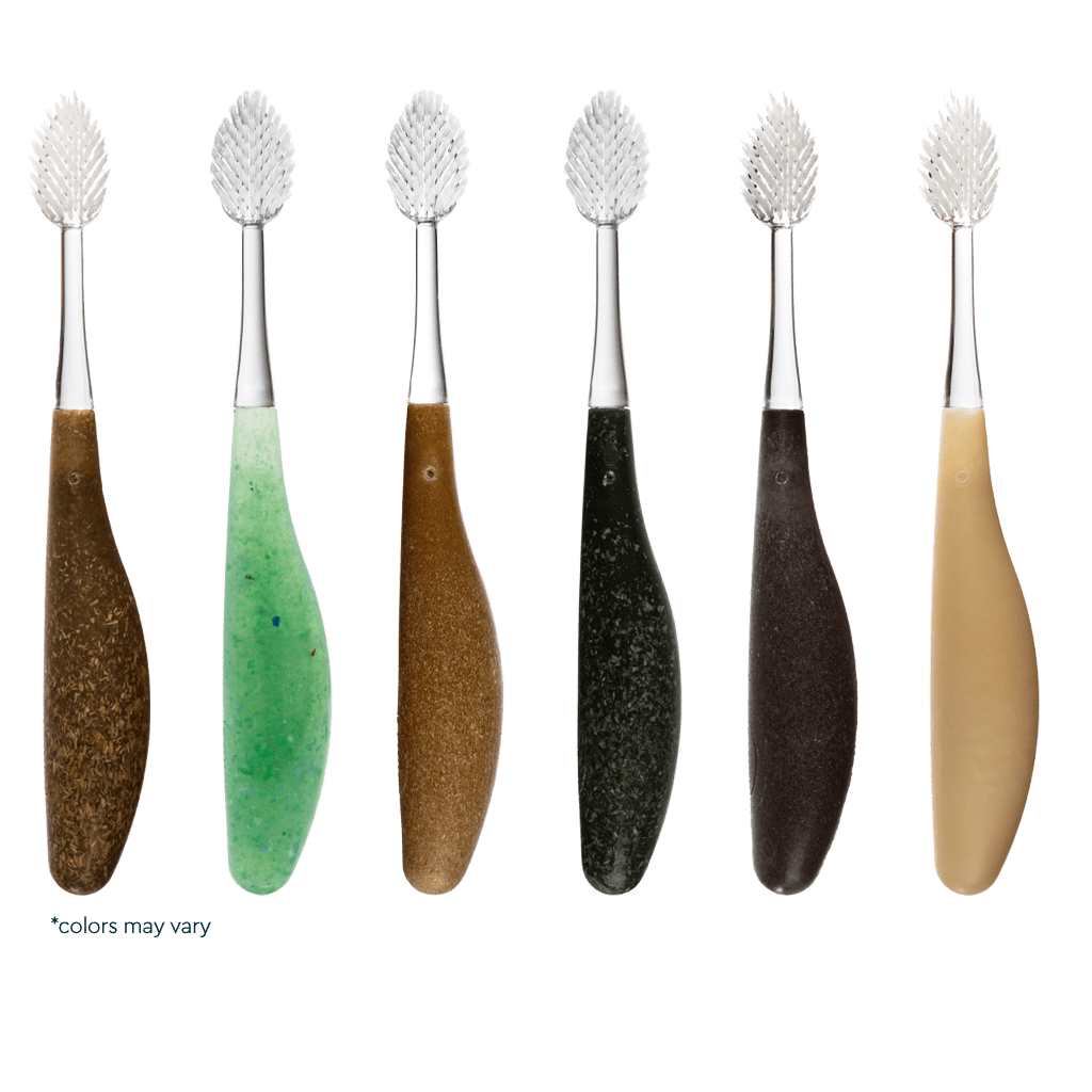 Radius Source Medium Toothbrush 1 Each
