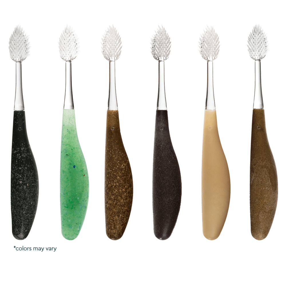 Radius Toothbrush - Source Super Soft - 6 ct