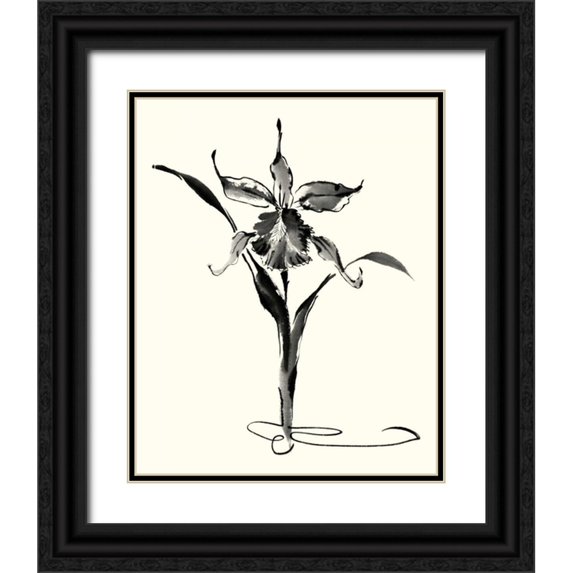 Rae, Nan 12x14 Black Ornate Wood Framed with Double Matting Museum Art Print Titled - Studies in Ink - Cattleya