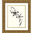 thumbnail image 1 of Rae, Nan 12x14 Gold Ornate Wood Framed with Double Matting Museum Art Print Titled - Studies in Ink - Cymbidium, 1 of 4