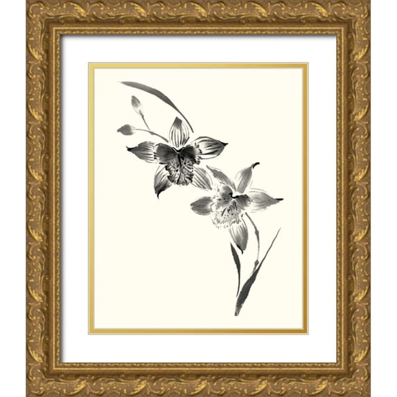 Rae, Nan 12x14 Gold Ornate Wood Framed with Double Matting Museum Art Print Titled - Studies in Ink - Cymbidium
