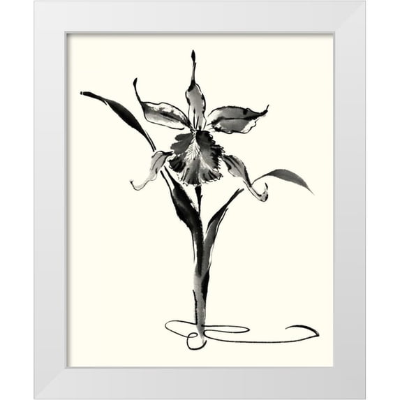 Rae, Nan 20x24 White Modern Wood Framed Museum Art Print Titled - Studies in Ink - Cattleya
