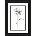 thumbnail image 1 of Rae, Nan 21x32 Black Ornate Wood Framed with Double Matting Museum Art Print Titled - Ink Tiger Lily, 1 of 4