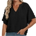 thumbnail image 1 of Raeneomay Pleated Tops for Women Fashion Women Solid Color Casual V Neck Short Sleeve Shirts Blouses Tops, 1 of 6