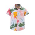 thumbnail image 1 of Raenseen Kids Boys Summer Hawaiian Shirts Floral Print Short Sleeve Button Shirts Tropical Luau Shirts Blouse Tops Type B 7-8, 1 of 7