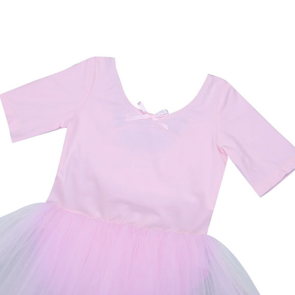 Raenseen Kids Girls' Tulle Ballet Dresses Dance Leotard Tutu Skirt Performance Costumes Short Sleeve Pink XXL