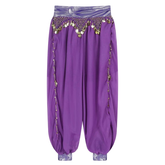 Raenseen Women's Chiffon Belly Dance Trousers Bloomers Lantern Loose Pants Bollywood India Dance Purple One Size