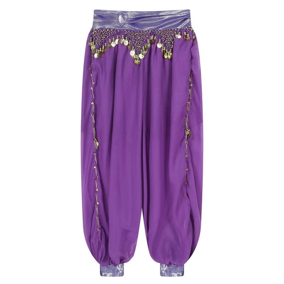Raenseen Women's Chiffon Belly Dance Trousers Bloomers Lantern Loose Pants Bollywood India Dance Purple One Size