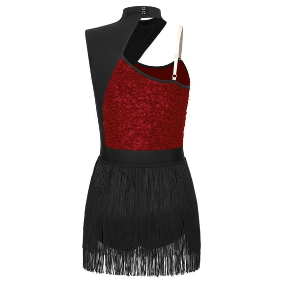 Raenseen Women's Fringe Latin Dance Leotard Dancewear Shiny Sequins Jazz Ballroom Samba Dance Dress Burgundy S