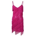 thumbnail image 1 of Raenseen Women's Sequins Tassel Dance Costume Samba Rumba Tango Dance Dress 1920s Flapper Cocktail Rose One_Size, 1 of 8