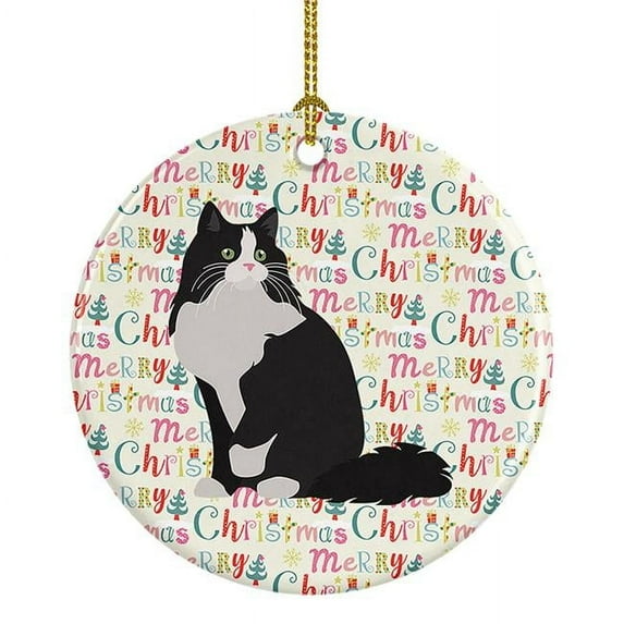 Ragamuffin Cat Christmas Ceramic Ornament 2.8 in x 2.8 in