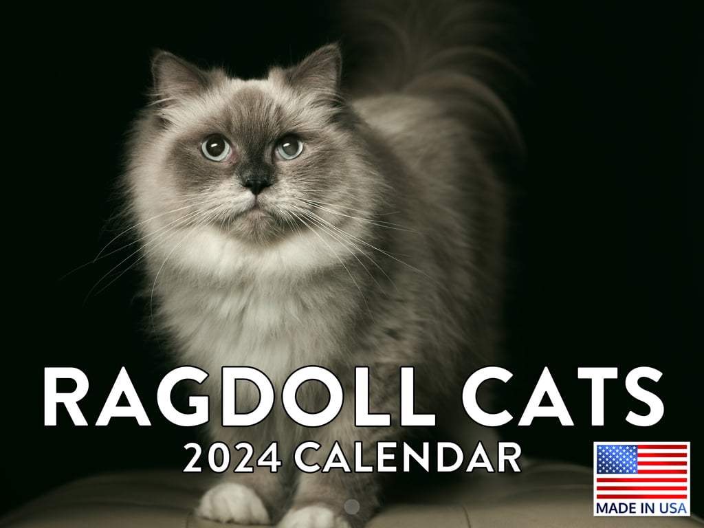Ragdoll Cat 2024 Wall Calendar Ragdoll 2024 Calendar