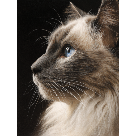 Ragdoll Cat Canvas Print, Feline Wall Art for Living Room Bedroom Home Office Cafe Studio Home Decor