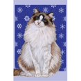 thumbnail image 1 of Ragdoll Cat Christmas Boxed Cards - Pack of 10, 1 of 1