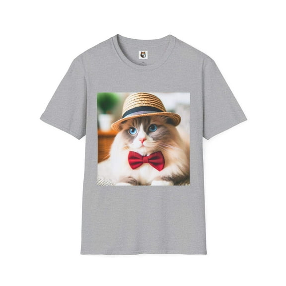 Ragdoll Cat