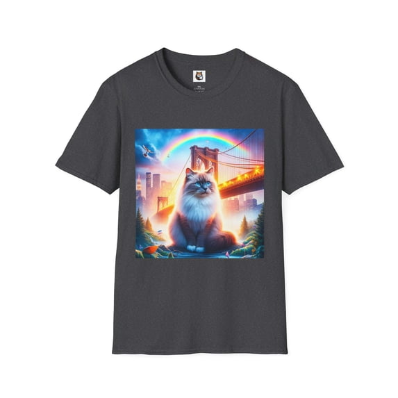Ragdoll Cat