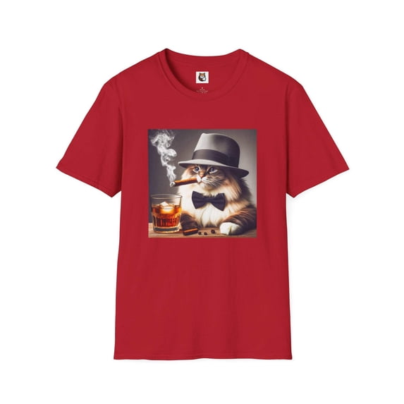 Ragdoll Cat