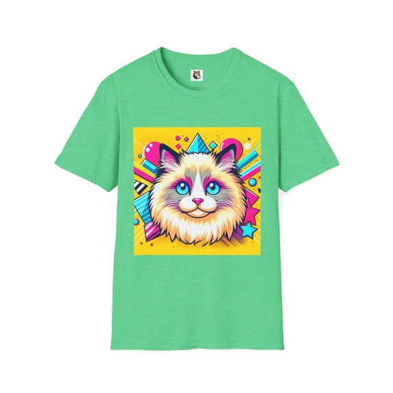 Ragdoll Cat