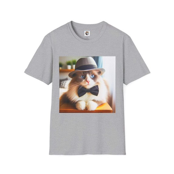 Ragdoll Cat