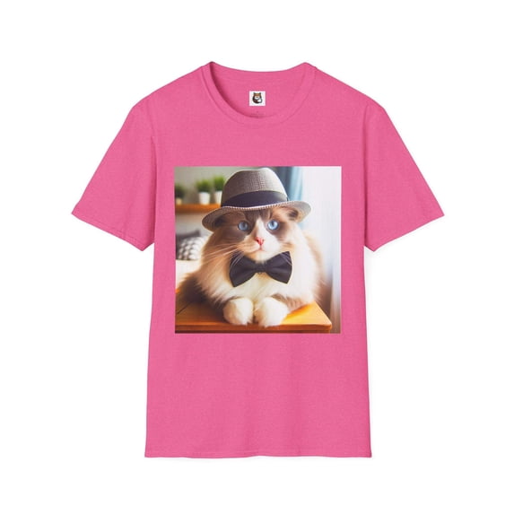 Ragdoll Cat