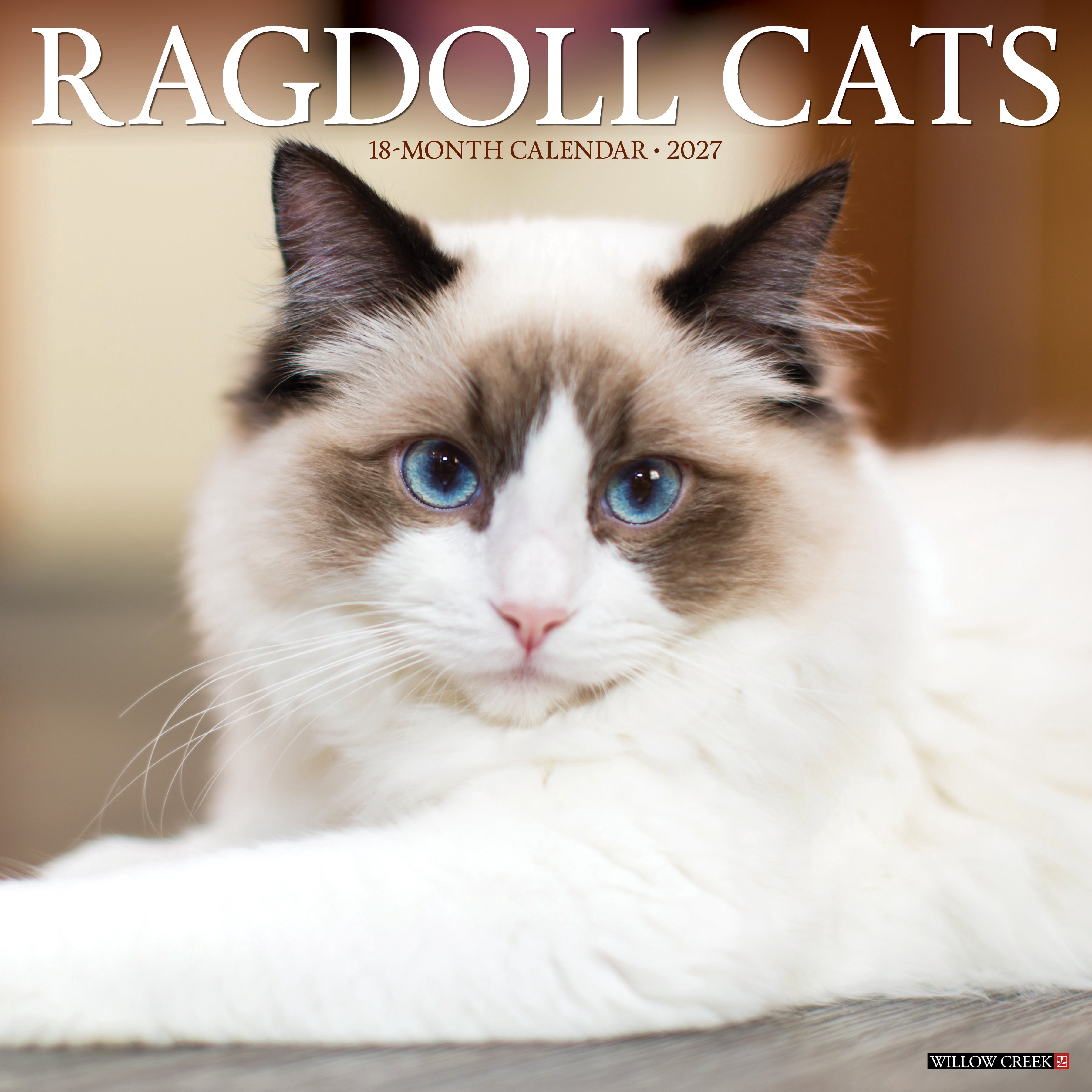 Willow Creek Press, Ragdoll Cats 2027 Wall Calendar