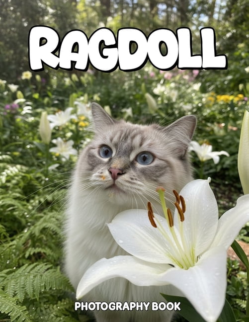 Ragdoll Photography Book: Captivating Real Life Portraits Of The Elegant Ragdoll Breed, (Paperback)