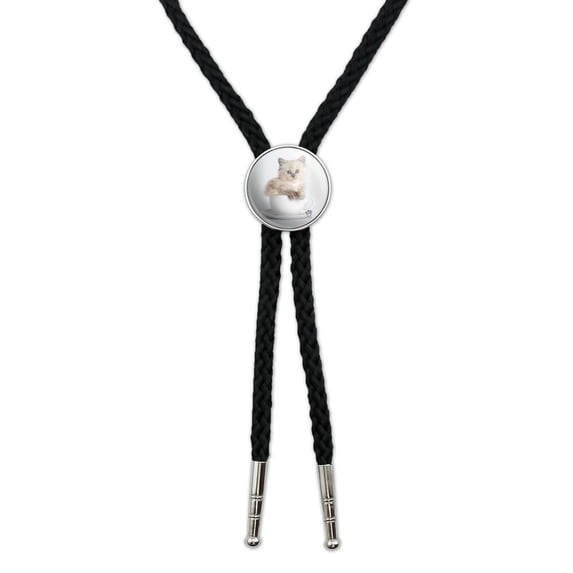 Ragdoll Tiffany Cat Kitten Tea Cup Ride Western Southwest Cowboy Necktie Bow Bolo Tie