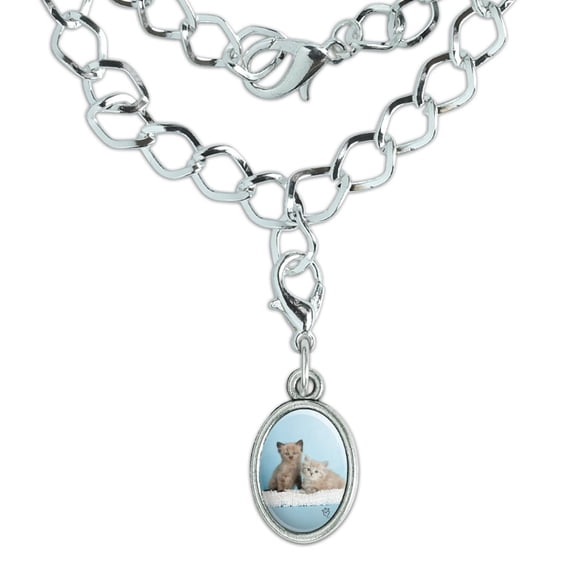 Ragdoll and Tiffany Kitten Cat Friends Silver Plated Bracelet with Antiqued Oval Charm