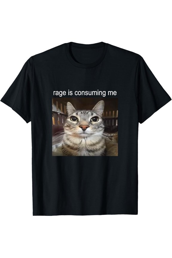 Rage Is Consuming Me Silly Staring Cat Meme T-Shirt