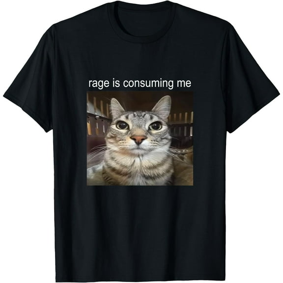 Rage Is Consuming Me Silly Staring Cat Meme Unisex T-Shirt for Men Women Kids Toddler,Black Color,Size 5XL