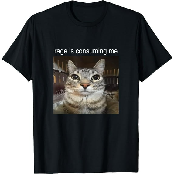Rage Is Consuming Me Silly Staring Cat Meme Unisex T-Shirt for Men Women Kids Toddler,Black Color,Size XL