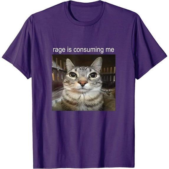 Rage Is Consuming Me Silly Staring Cat Meme Unisex T-Shirt for Men Women Kids Toddler,Purple Color,Size 4XL
