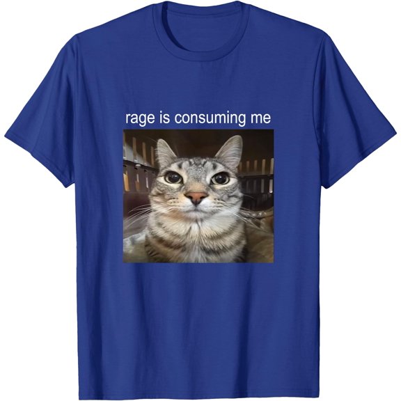 Rage Is Consuming Me Silly Staring Cat Meme Unisex T-Shirt for Men Women Kids Toddler,Royal Blue Color,Size 5XL