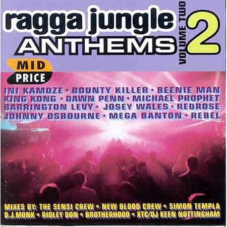 Ragga Jungle Anthems 2 / Various