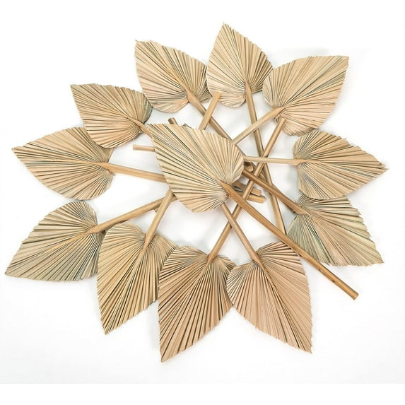 Ragnify 12 pcs Dried Palm Leaves Spear Natural Dried Palm Fans Bohemian Dried Flowers for Bohemian Dried Palm Spears Tropical Dried Palm Leaves Decor for Boho Wedding Party (18x04 Inches)