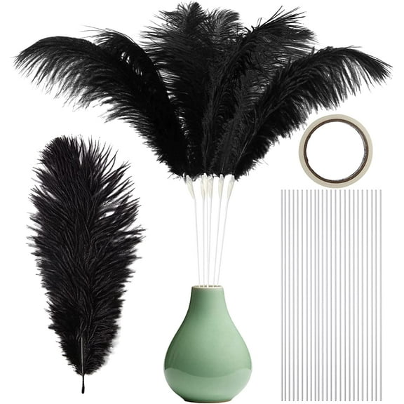 Ragnify Black Ostrich Feathers with Sticks for DIY Decorations, Wedding Centerpieces, Gatsby Decor (Pack of 24)