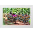 thumbnail image 1 of Rahman Nasim, Mostafijur 14x10 White Modern Wood Framed Museum Art Print Titled - Ripe Pineapple, 1 of 4