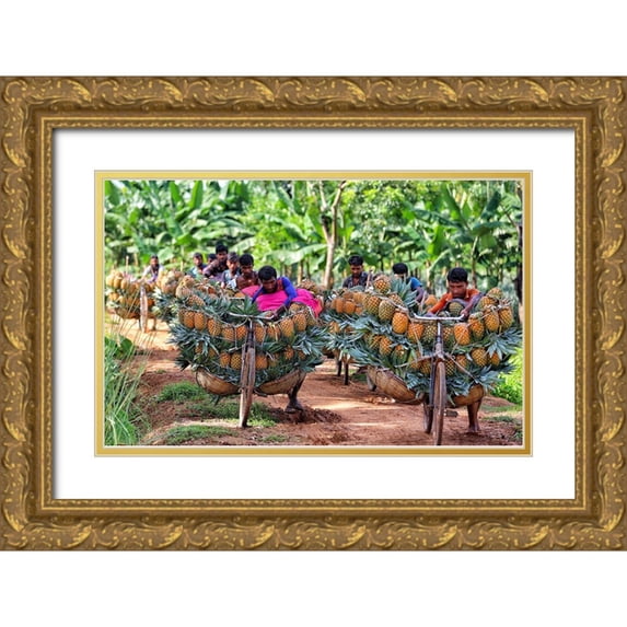 Rahman Nasim, Mostafijur 32x22 Gold Ornate Wood Framed with Double Matting Museum Art Print Titled - Ripe Pineapple