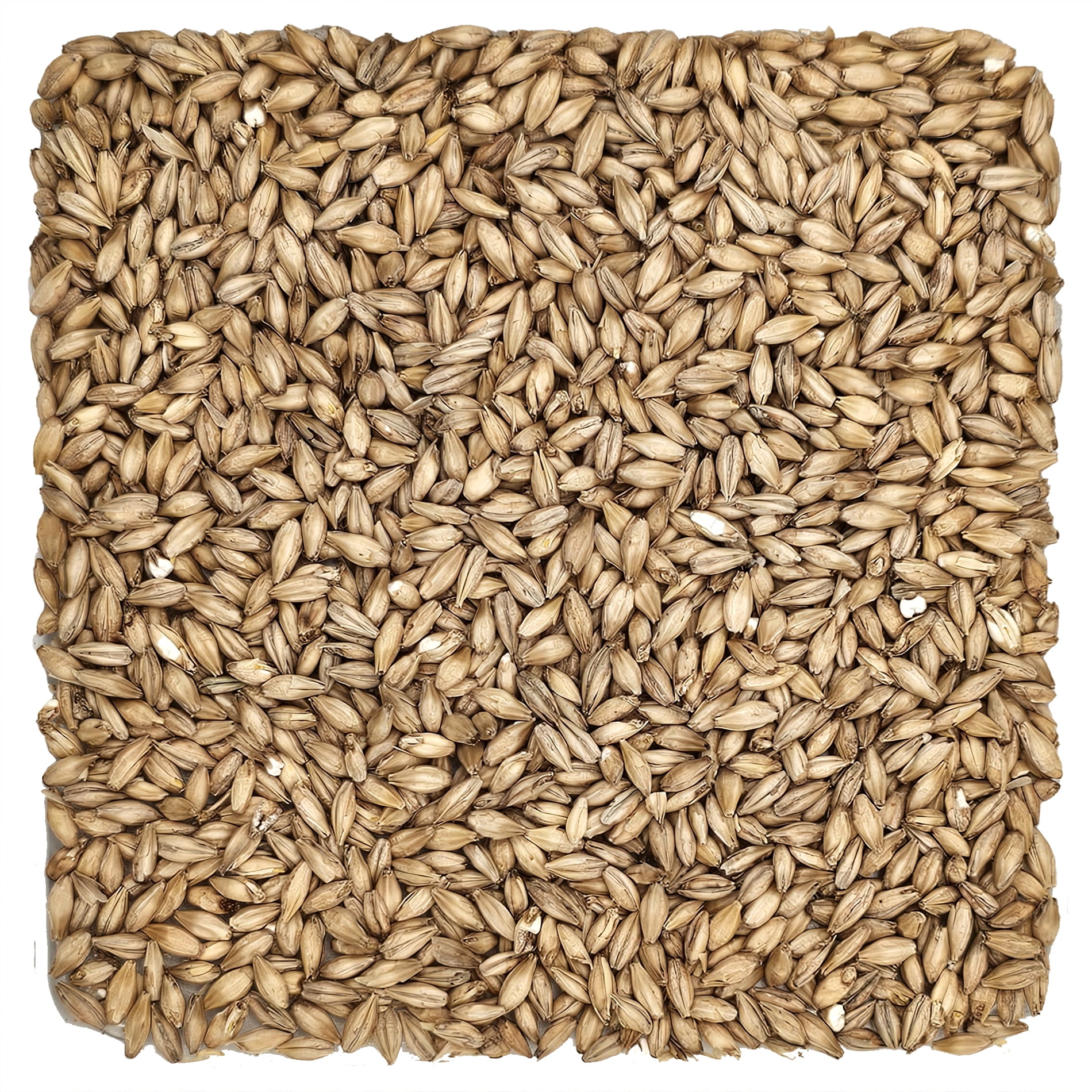 Rahr Standard 2-Row Uncrushed Malt - 10 lb. Bag