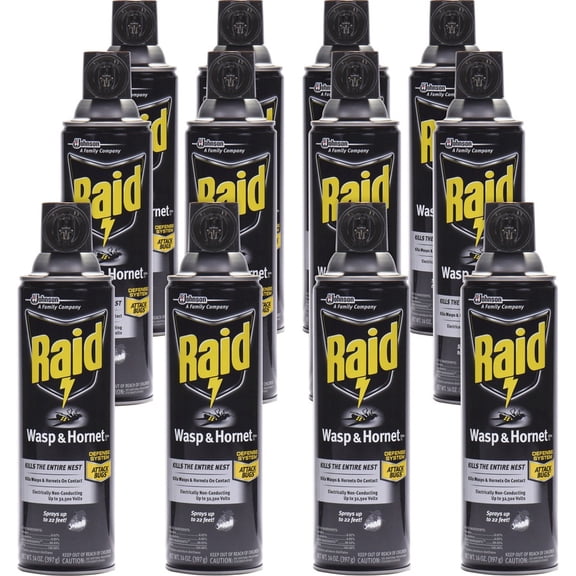 Raid SJN668006CT, Wasp and Hornet Killer Spray, 12 Per Carton, White