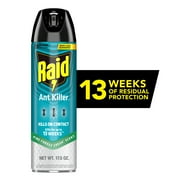 Raid Ant Killer 26, Inse Counticide Spray for Home, Pine Forest Fresh Scent, 17.5 oz