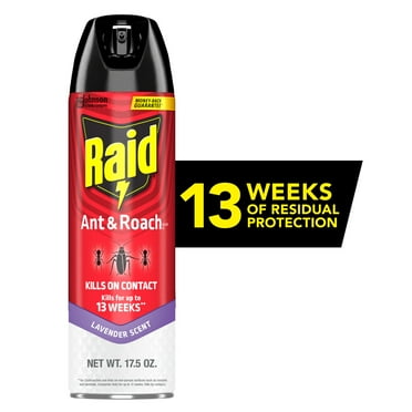 Raid Ant & Roach Inse Count Killer, Indoor Inse Counticide, Residual Killing Power, Lavender Scent, 17.5 oz