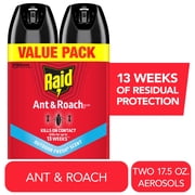 Raid Ant & Roach Killer, Indoor Insecticide, Residual Killing Power, Outdoor Fresh Scent, 17.5 oz, Pack of 2